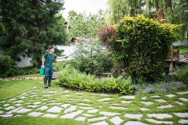 Best Best Pest Control Companies  in Burlington, IA