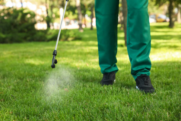 Best Affordable Pest Control Services  in Burlington, IA