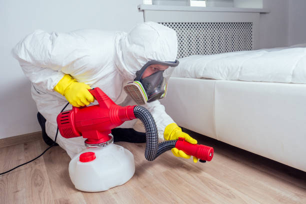 Best Bed Bug Extermination  in Burlington, IA