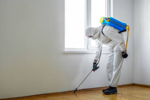 Best Cockroach Control Services  in Burlington, IA