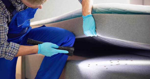 Pest Control for Restaurants in Burlington, IA