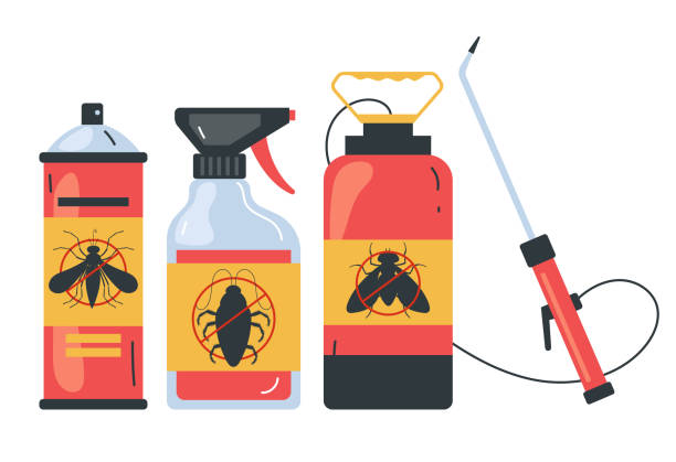 Best Spider Control Near Me  in Burlington, IA