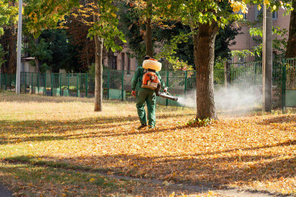Professional Pest Control in Burlington, IA