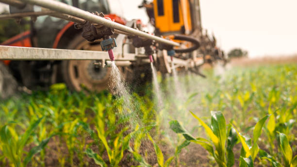 Pest Control Cost in Burlington, IA